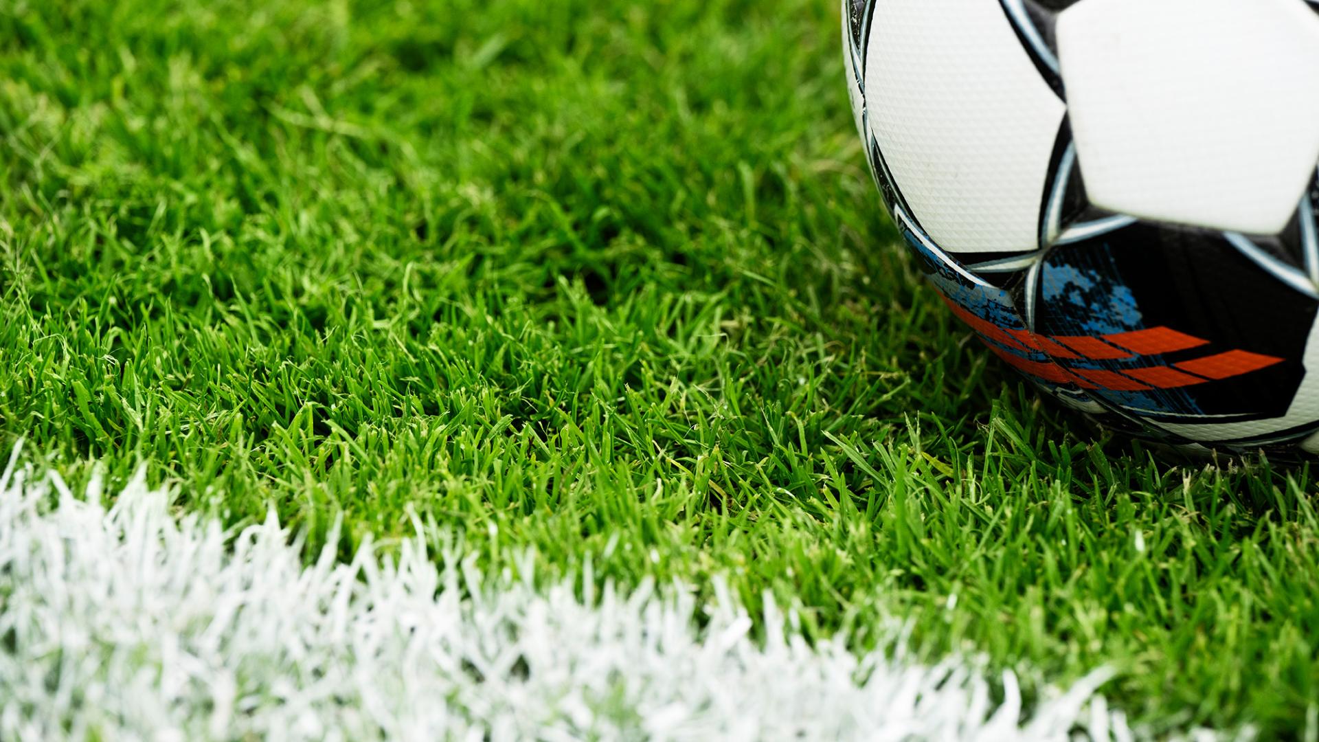 BONNIE - A Future Top Choice For Sports Turf